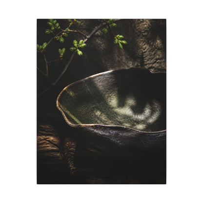 Sophisticated Ceramic Bowl Canvas Art - Dark Texture Dark Japandi
