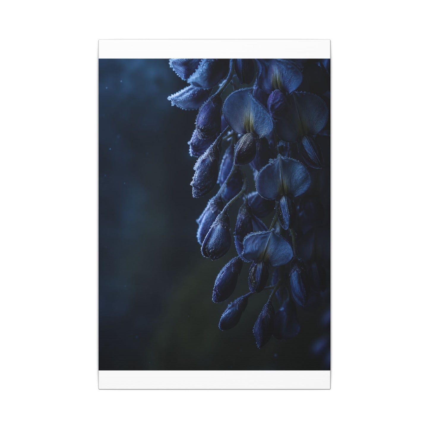 Winter Wisteria Shadow Zen Canvas Art | Atmospheric Decor