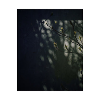 Shoji Screen Wall Art Print | Spring Dark Japandi Moody Minimal Art