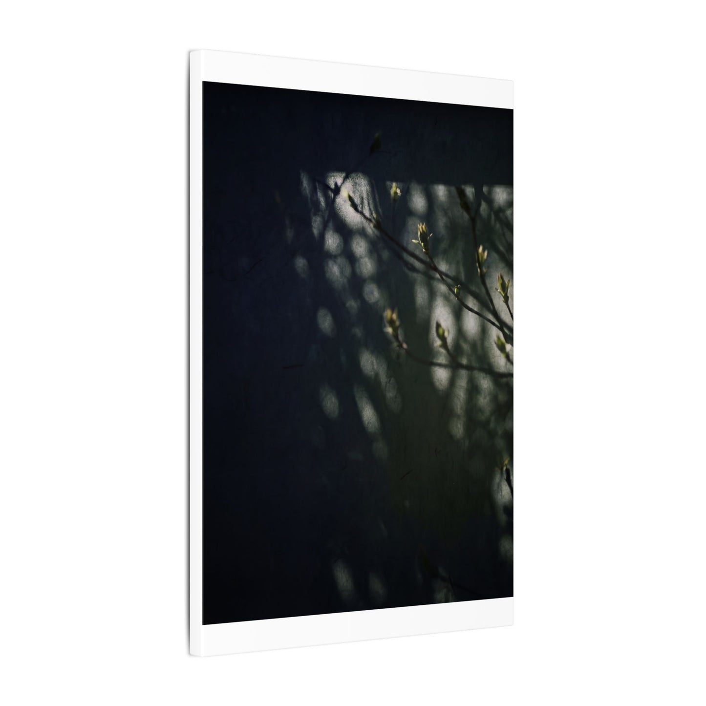 Dark Japandi Shoji Screen in Dappled | Moody Minimal Canvas Art
