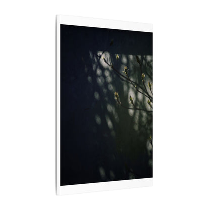Dark Japandi Shoji Screen in Dappled | Moody Minimal Canvas Art