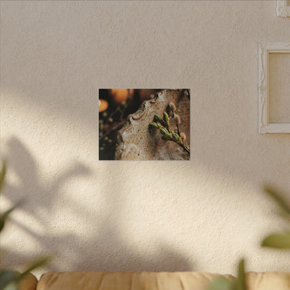 Overcast Ceramic Bowl Canvas Art - Japandi Ma