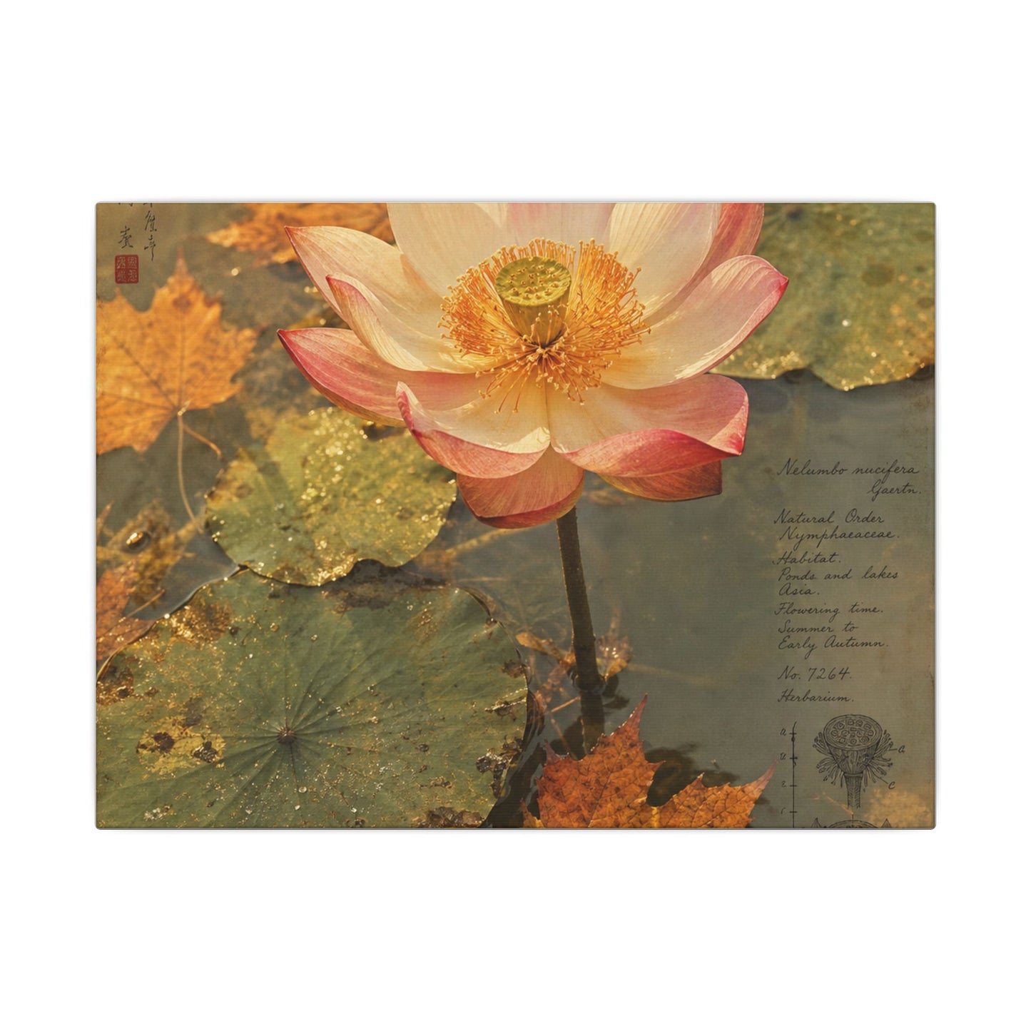 Autumn Lotus Flower Herbarium Canvas Art | Rustic Decor