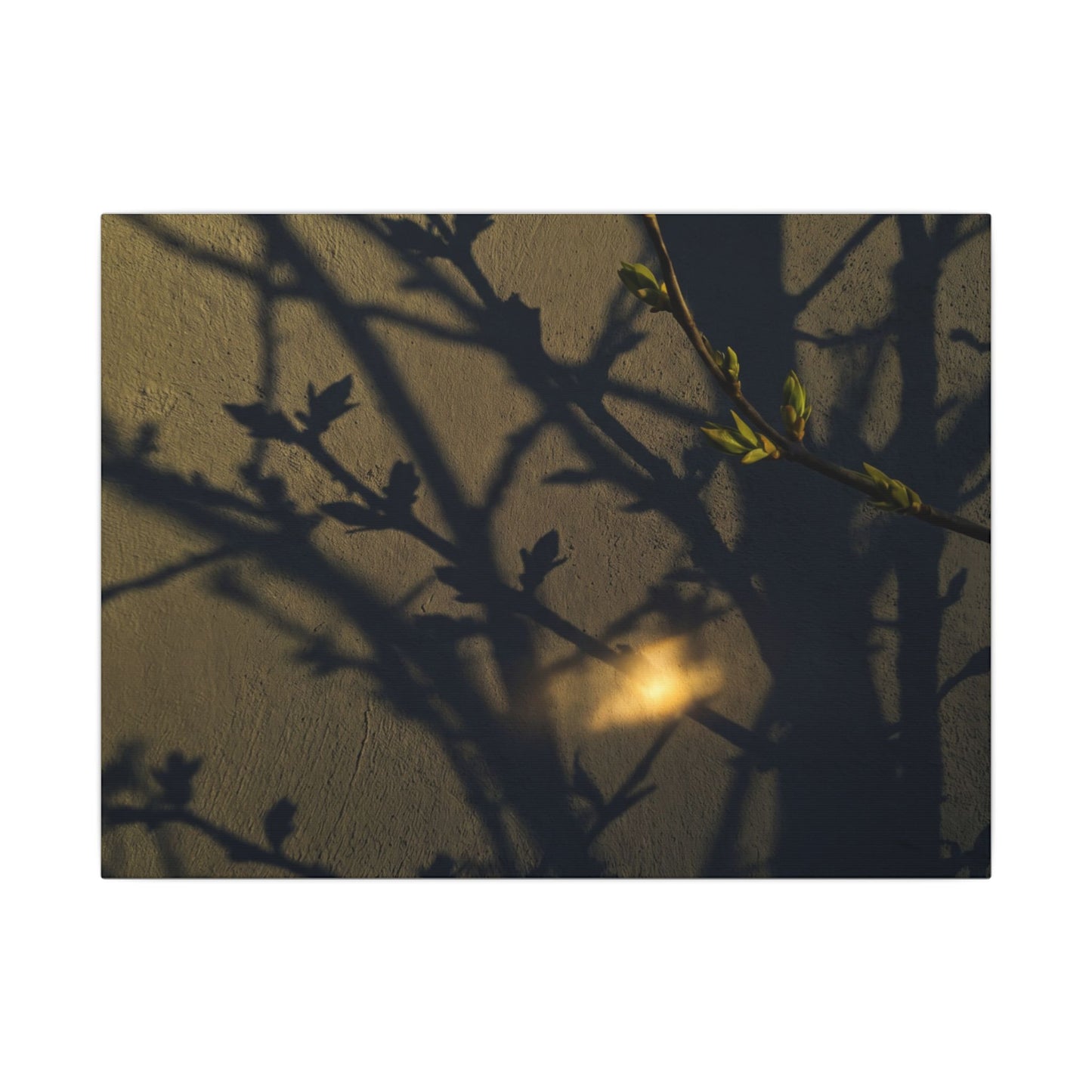 Bold Shadow Play Canvas Art - Moody Minimal Dark Japandi