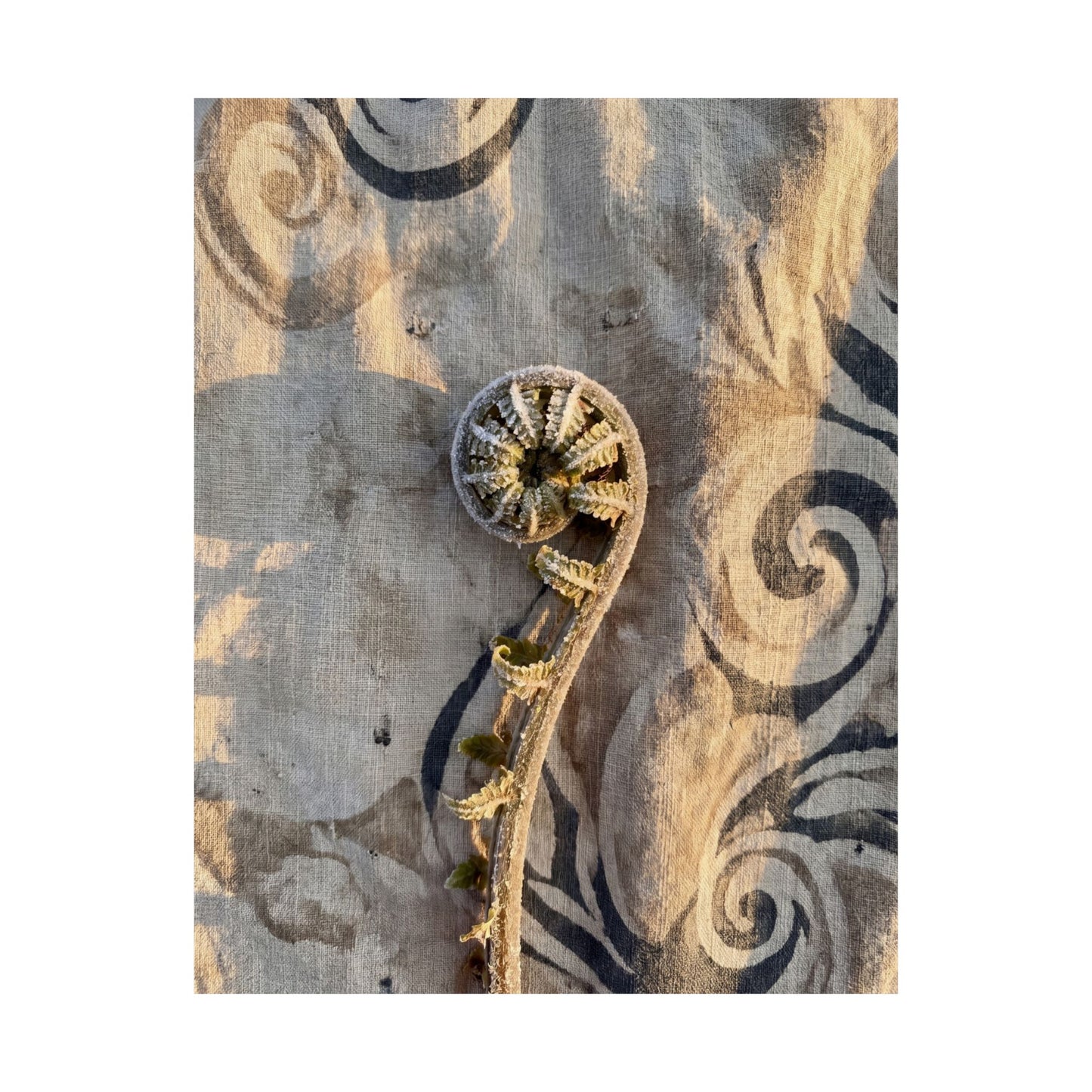 Fern Unfurling Winter Wall Art Print | Japandi Warm Design