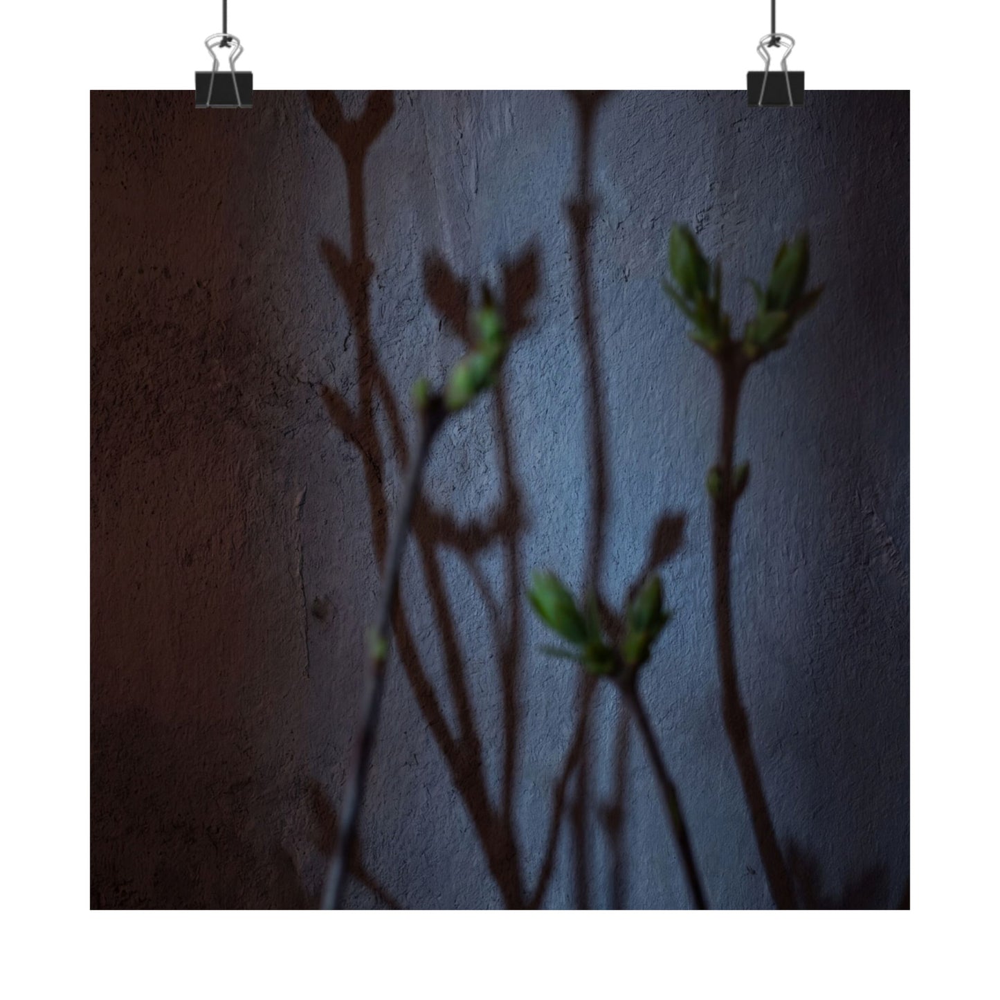 Spring Shadow Play Shadow Zen Wall Art Print | Moody Decor