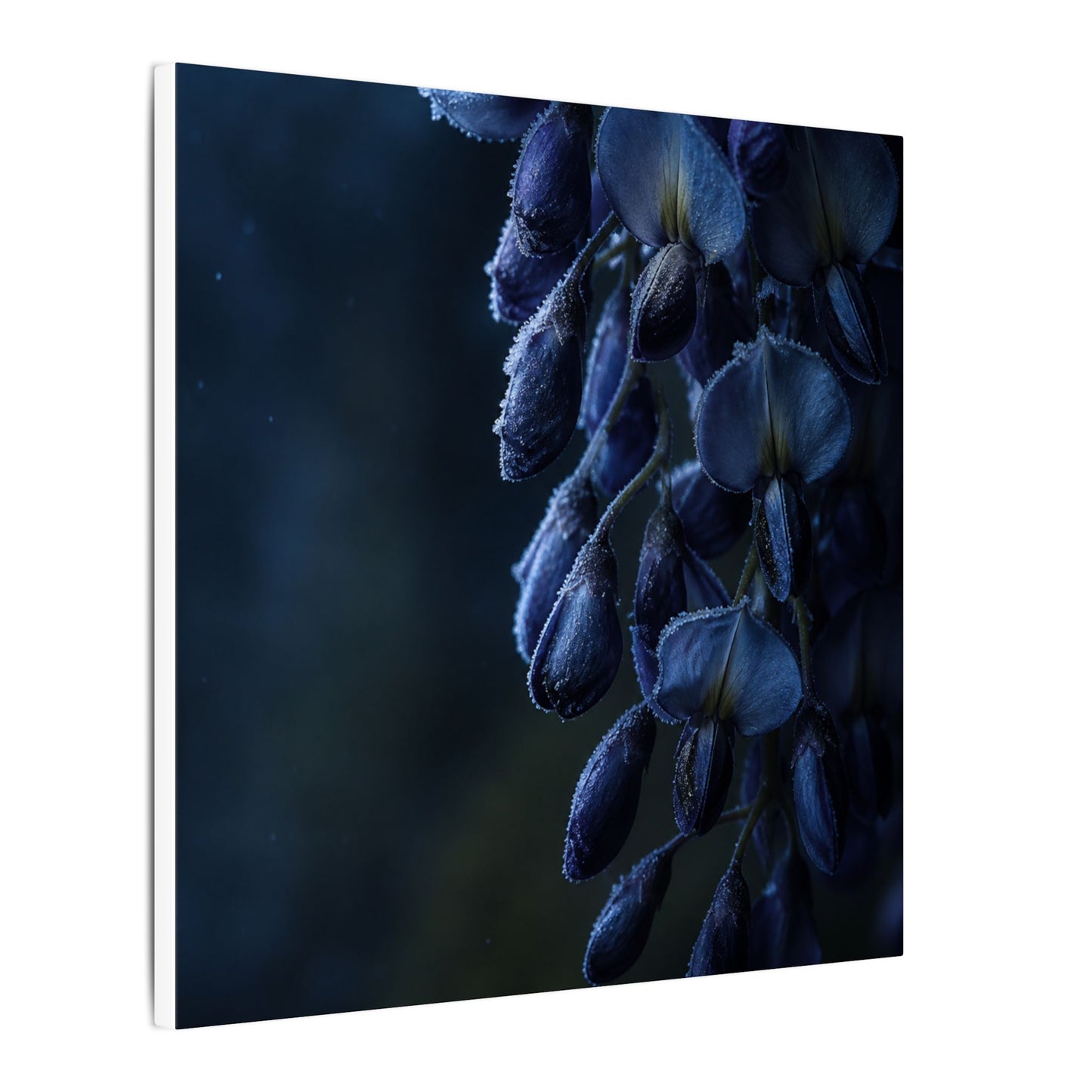 Winter Wisteria Shadow Zen Canvas Art | Atmospheric Decor