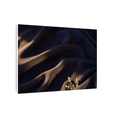 Silk Drape Shadow Zen Canvas Art | Luxurious Dark Japandi Art