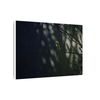 Dark Japandi Shoji Screen in Dappled | Moody Minimal Canvas Art