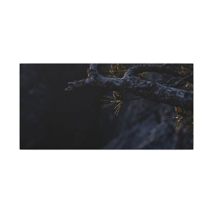 Pine Tree Moody Minimal Canvas Art | Sophisticated Dark Japandi Art