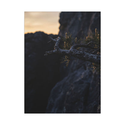 Pine Tree Moody Minimal Canvas Art | Sophisticated Dark Japandi Art