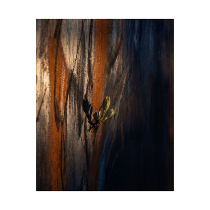Rust Patina Spring Wall Art Print | Dark Japandi Sophisticated Design
