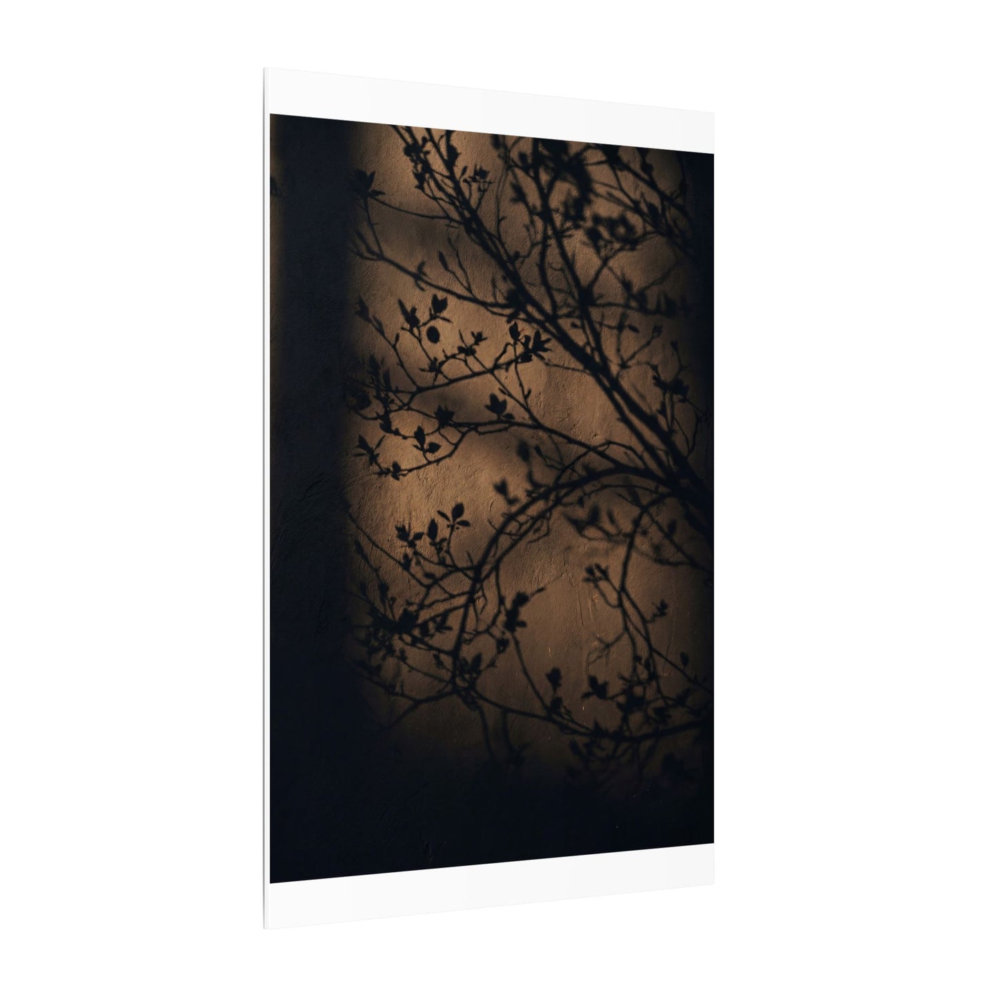 Dark Japandi Shadow Play in Golden Hour | Shadow Zen Canvas Art