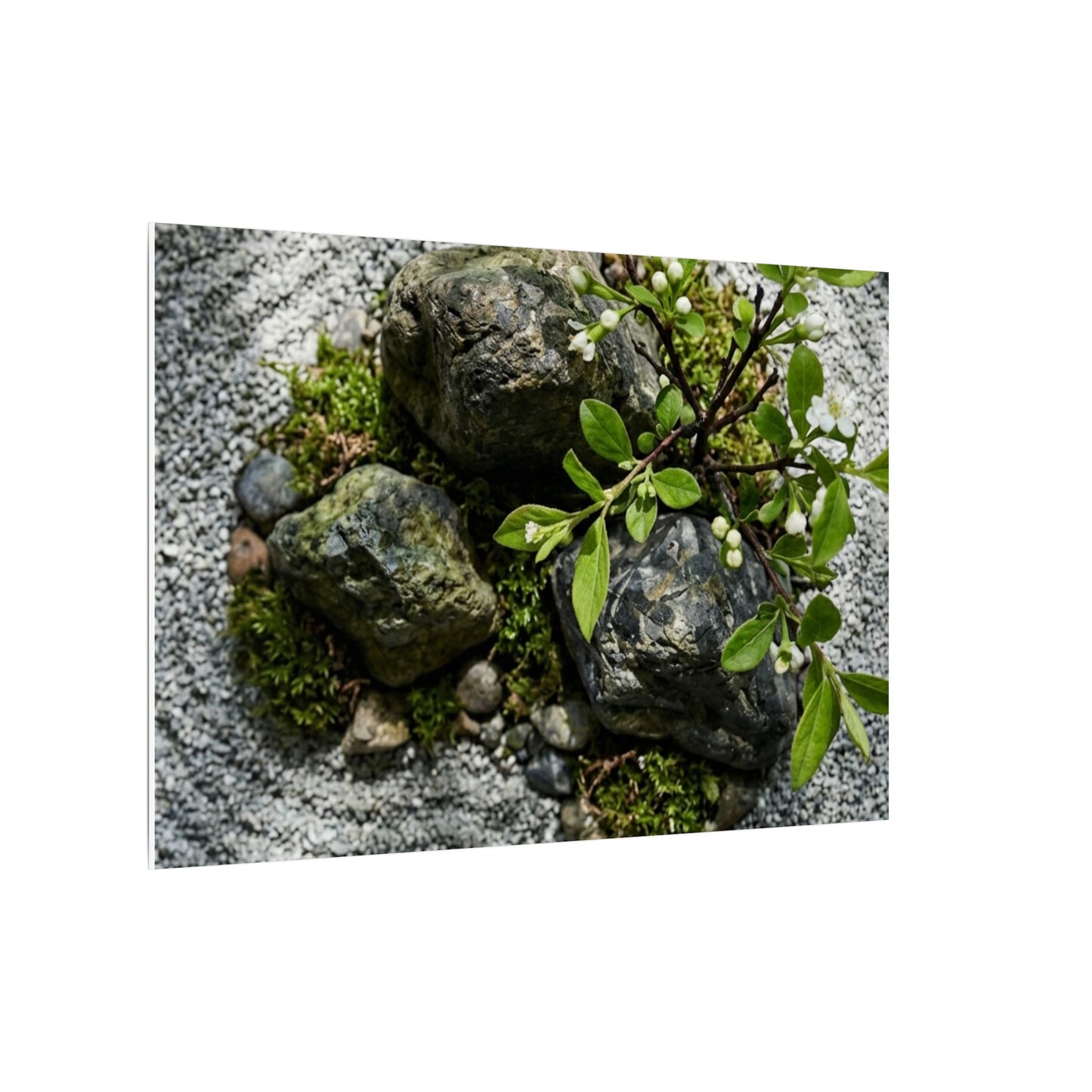 Zen Ceramic Bowl in Dappled | Karesansui Canvas Art