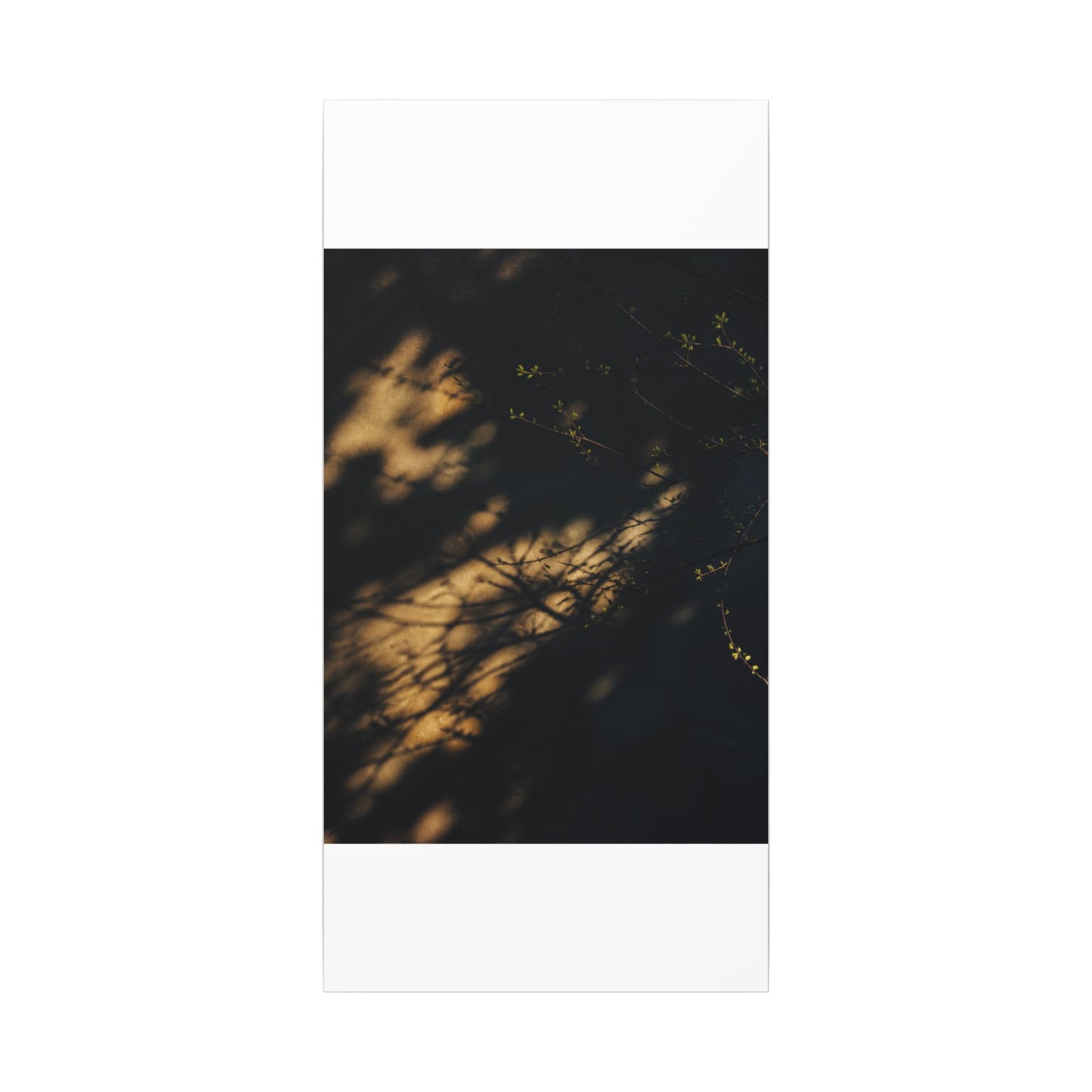 Moody Shadow Play Canvas Art - Moody Minimal Dark Japandi