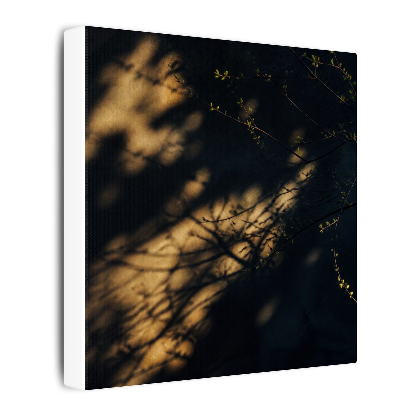 Moody Shadow Play Canvas Art - Moody Minimal Dark Japandi