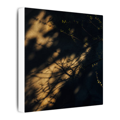 Moody Shadow Play Canvas Art - Moody Minimal Dark Japandi