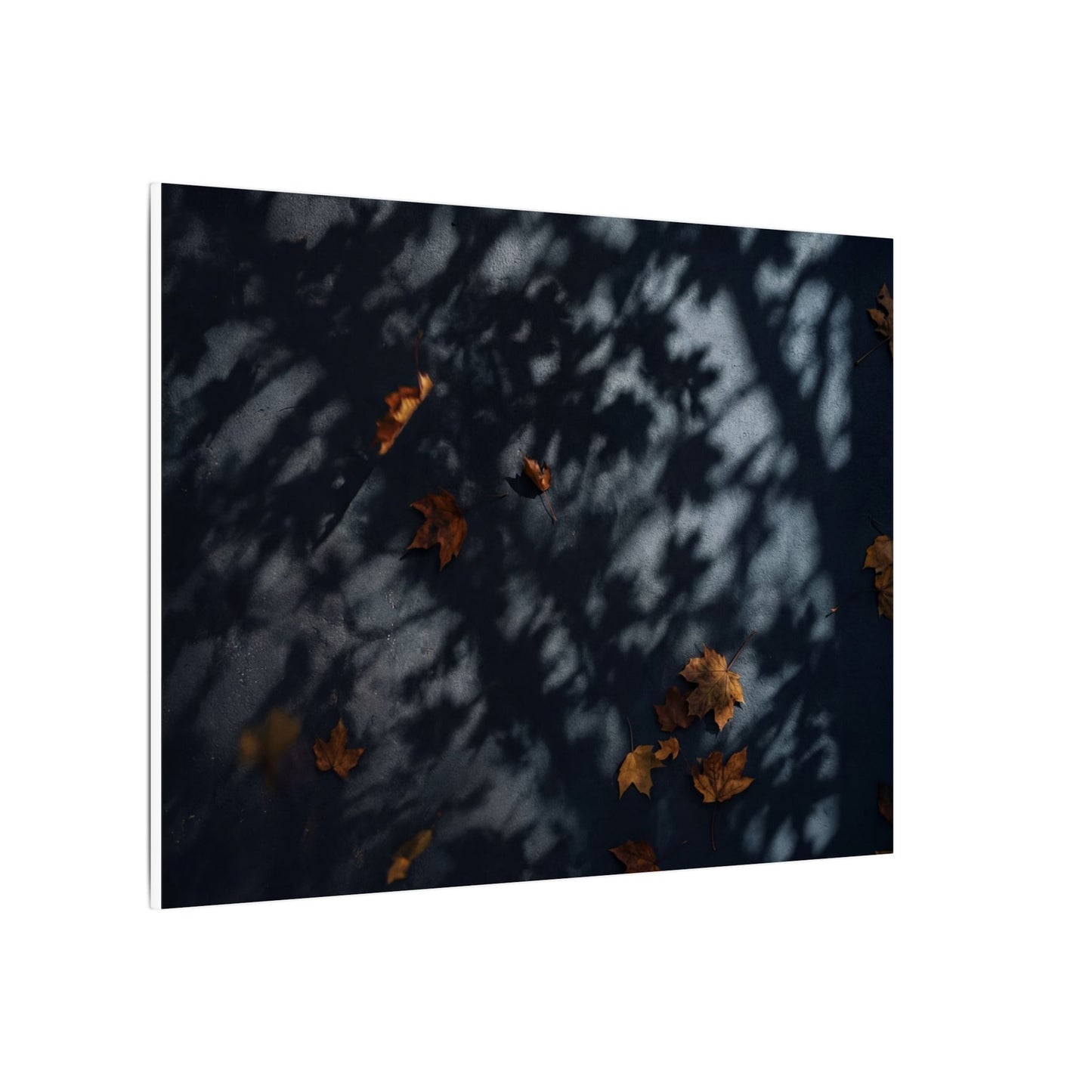 Autumn Shadow Play Shadow Zen Canvas Art | Atmospheric Decor