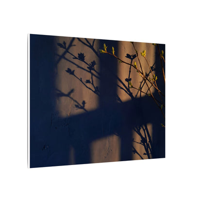 Shadow Play Canvas Art | Spring Dark Japandi Shadow Zen Art