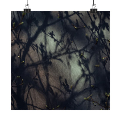 Spring Shadow Play Moody Minimal Wall Art Print | Sophisticated Decor