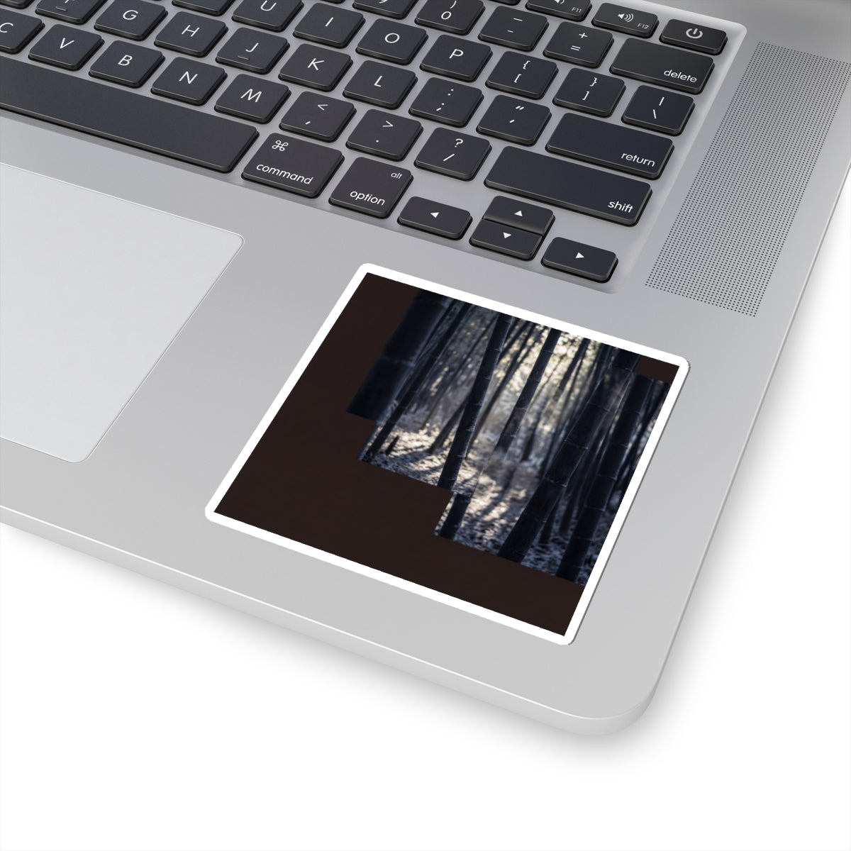 Dappled Bamboo Grove Sticker - Dark Japandi Ma