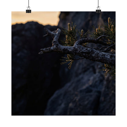 Pine Tree Moody Minimal Wall Art Print | Luxurious Dark Japandi Art
