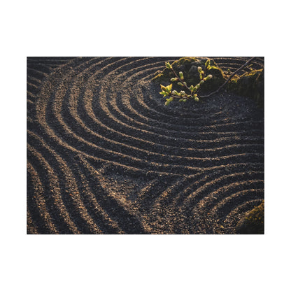 Spring Rock Garden Shadow Zen Canvas Art | Atmospheric Decor