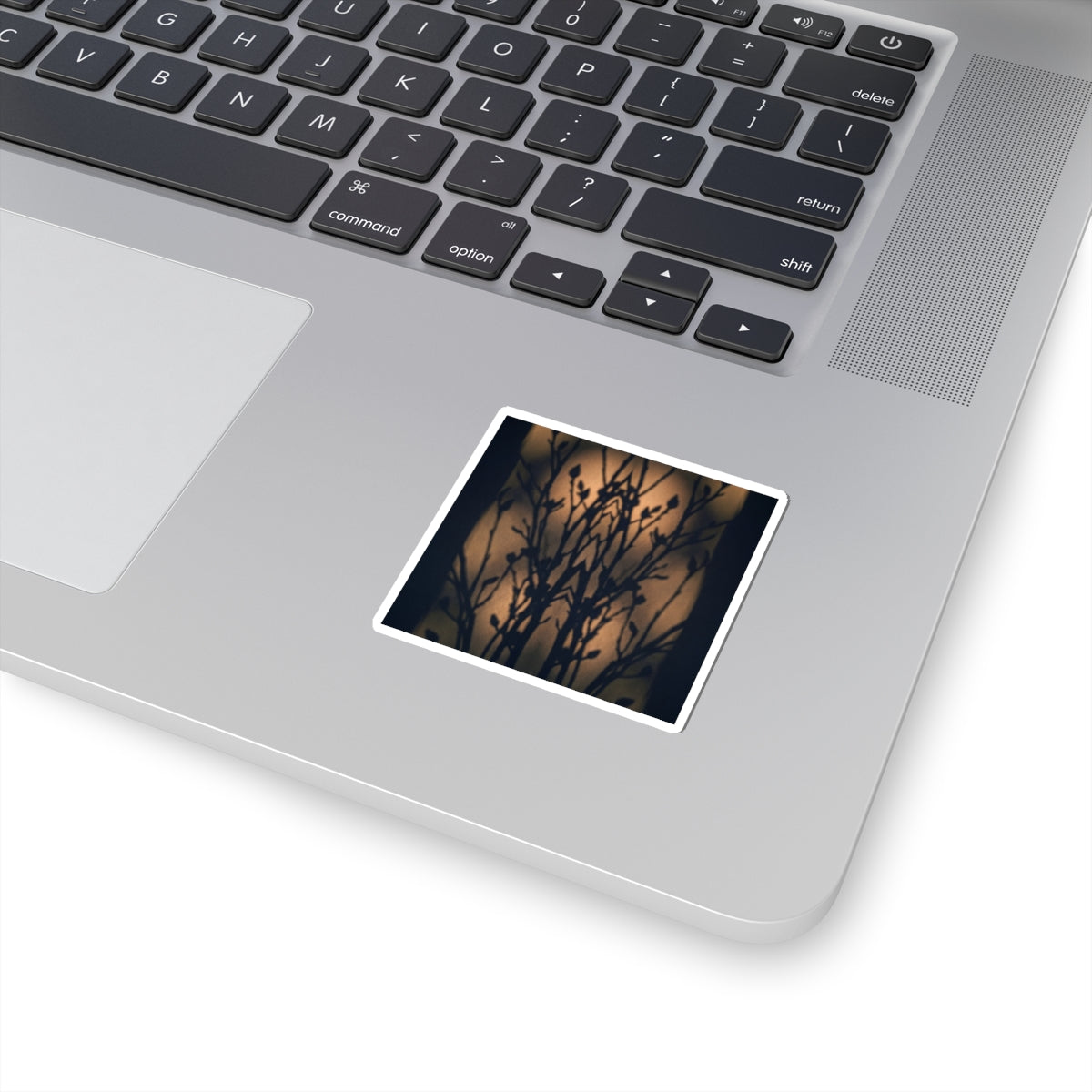 Spring Shadow Play Shadow Zen Sticker | Luxurious Decor