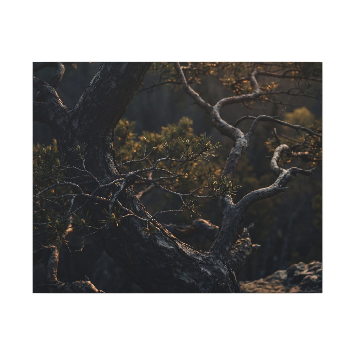 Moody Pine Tree Canvas Art - Moody Minimal Dark Japandi