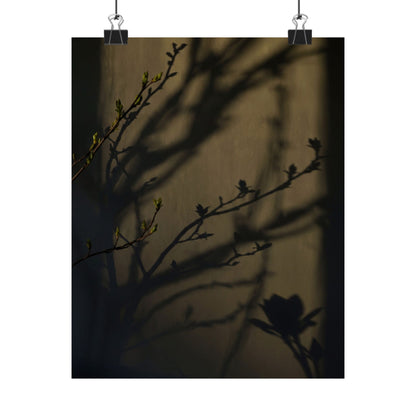 Spring Shadow Play Charcoal Ink Wall Art Print | Moody Decor
