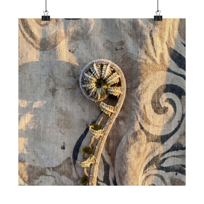 Fern Unfurling Winter Wall Art Print | Japandi Warm Design