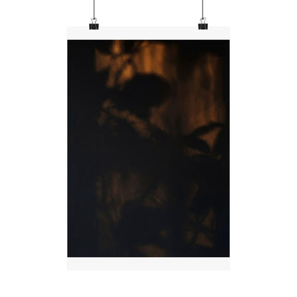 Shadow Play Summer Wall Art Print | Dark Japandi Atmospheric Design Art Print