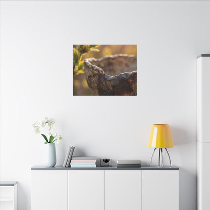 Golden Hour Ceramic Bowl Canvas Art - Dark Japandi Ma