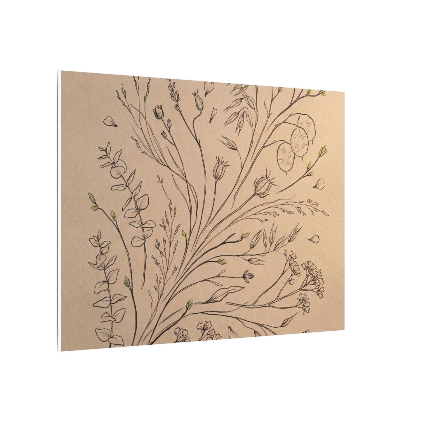 Dried Flowers Canvas Art | Spring Japandi Minimal Line Art