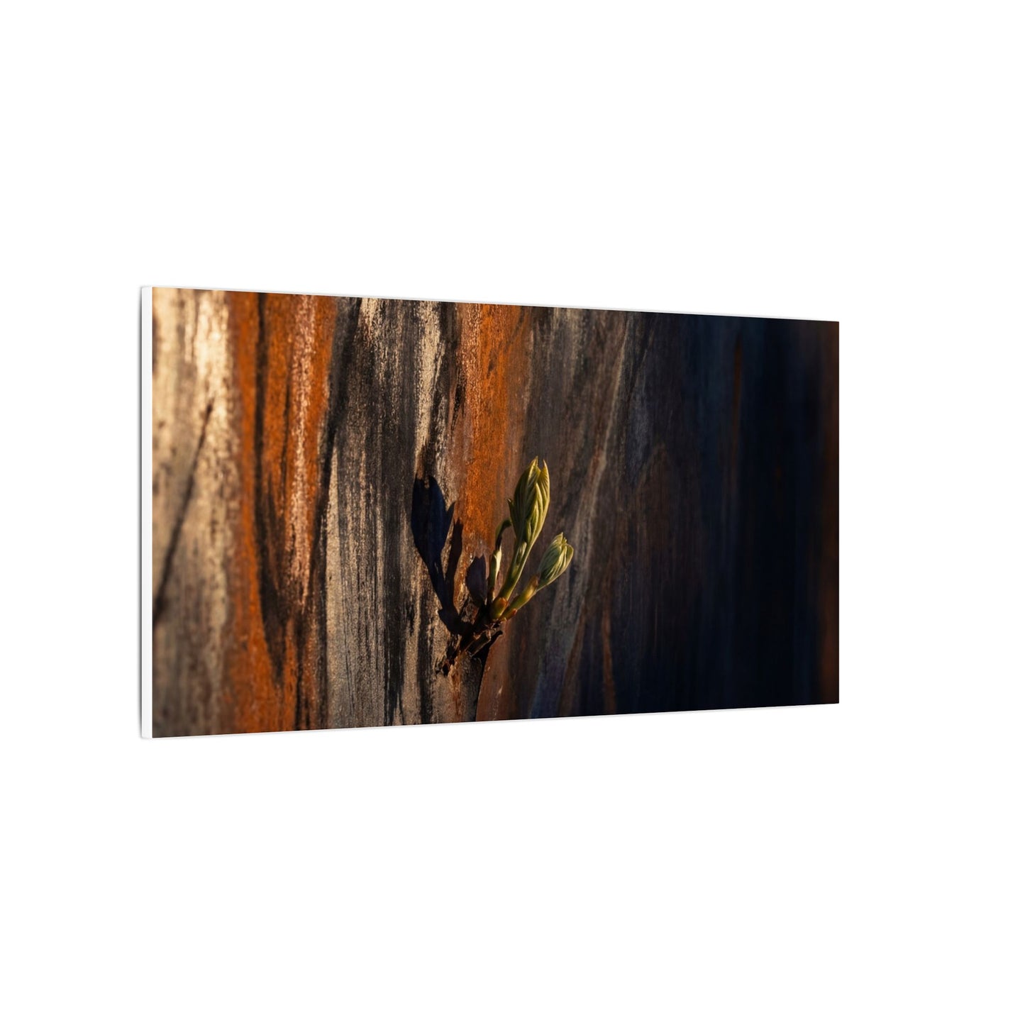 Rust Patina Charcoal Ink Canvas Art | Moody Dark Japandi Art