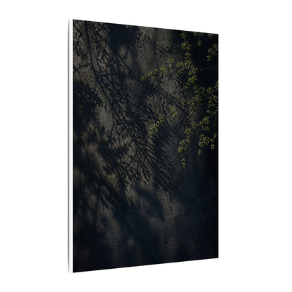 Overcast Shadow Play Canvas Art - Dark Japandi Seijaku