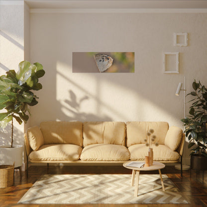 Ceramic Bowl Canvas Art | Spring Japandi Japanese Pattern Art