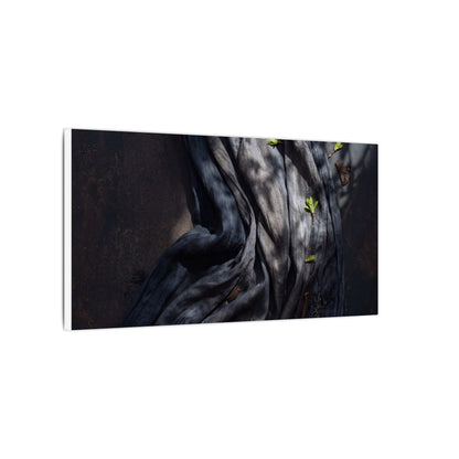 Seijaku Silk Drape Canvas Art - Dark Japandi Dark Texture