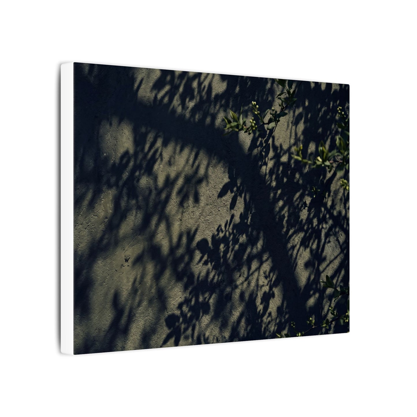 Atmospheric Shadow Play Canvas Art - Moody Minimal Dark Japandi