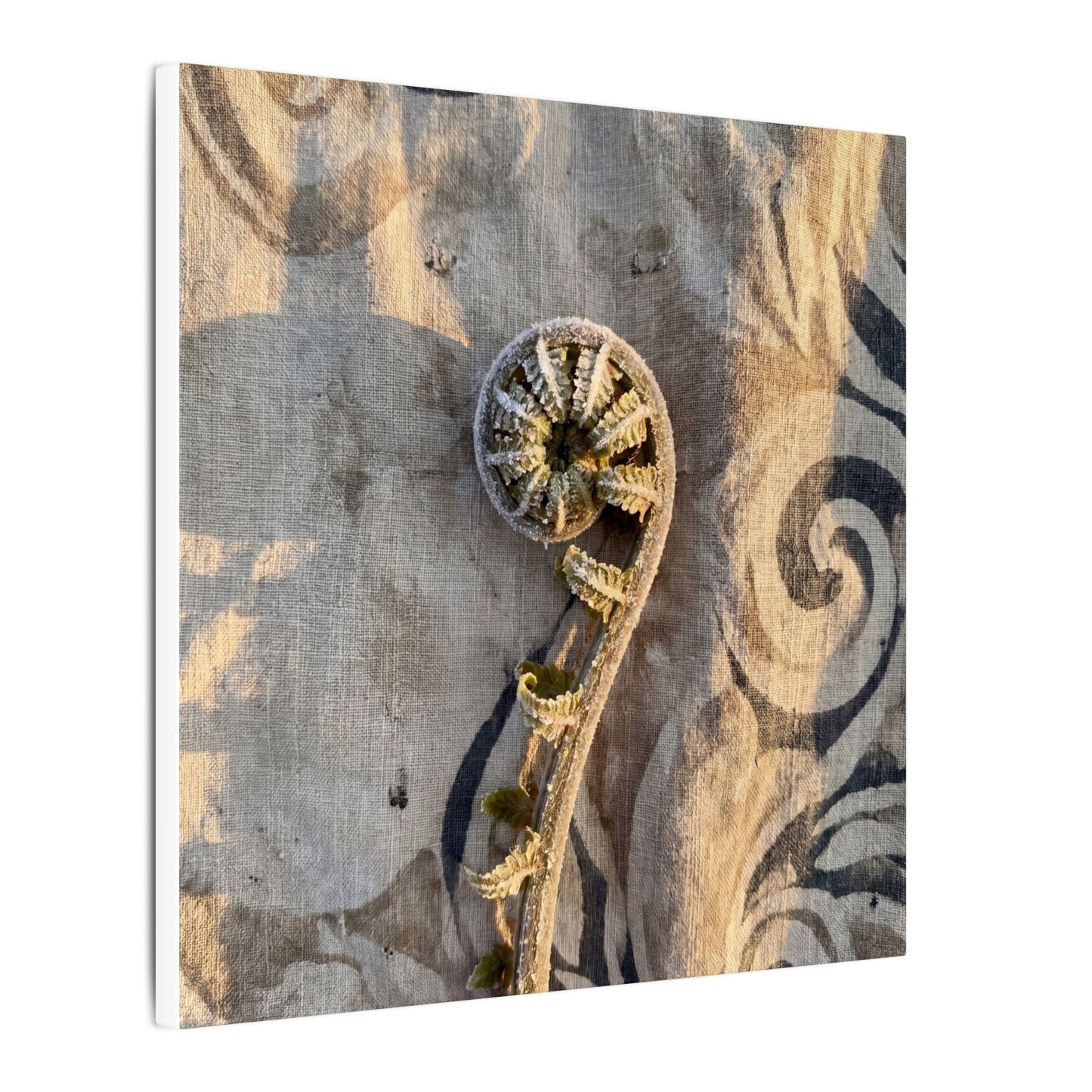 Fern Unfurling Canvas Art | Winter Japandi Japanese Pattern Art