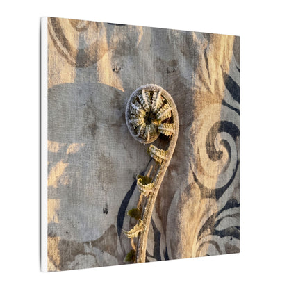 Fern Unfurling Canvas Art | Winter Japandi Japanese Pattern Art