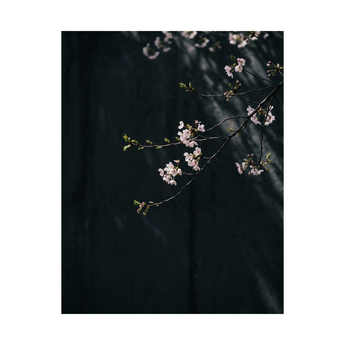 Shoji Screen Wall Art Print | Winter Japandi Texture Art