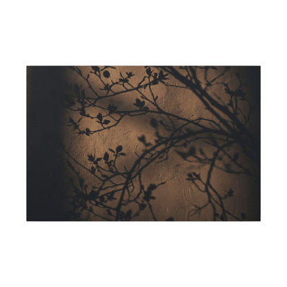Dark Japandi Shadow Play in Golden Hour | Shadow Zen Canvas Art
