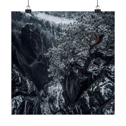 Pine Tree Wall Art Print | Winter Dark Japandi Dark Texture Art Art Print