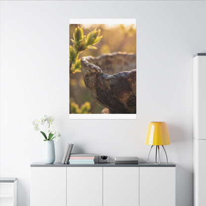 Golden Hour Ceramic Bowl Canvas Art - Dark Japandi Ma