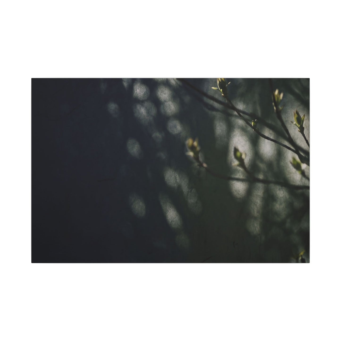 Dark Japandi Shoji Screen in Dappled | Moody Minimal Canvas Art Art Print