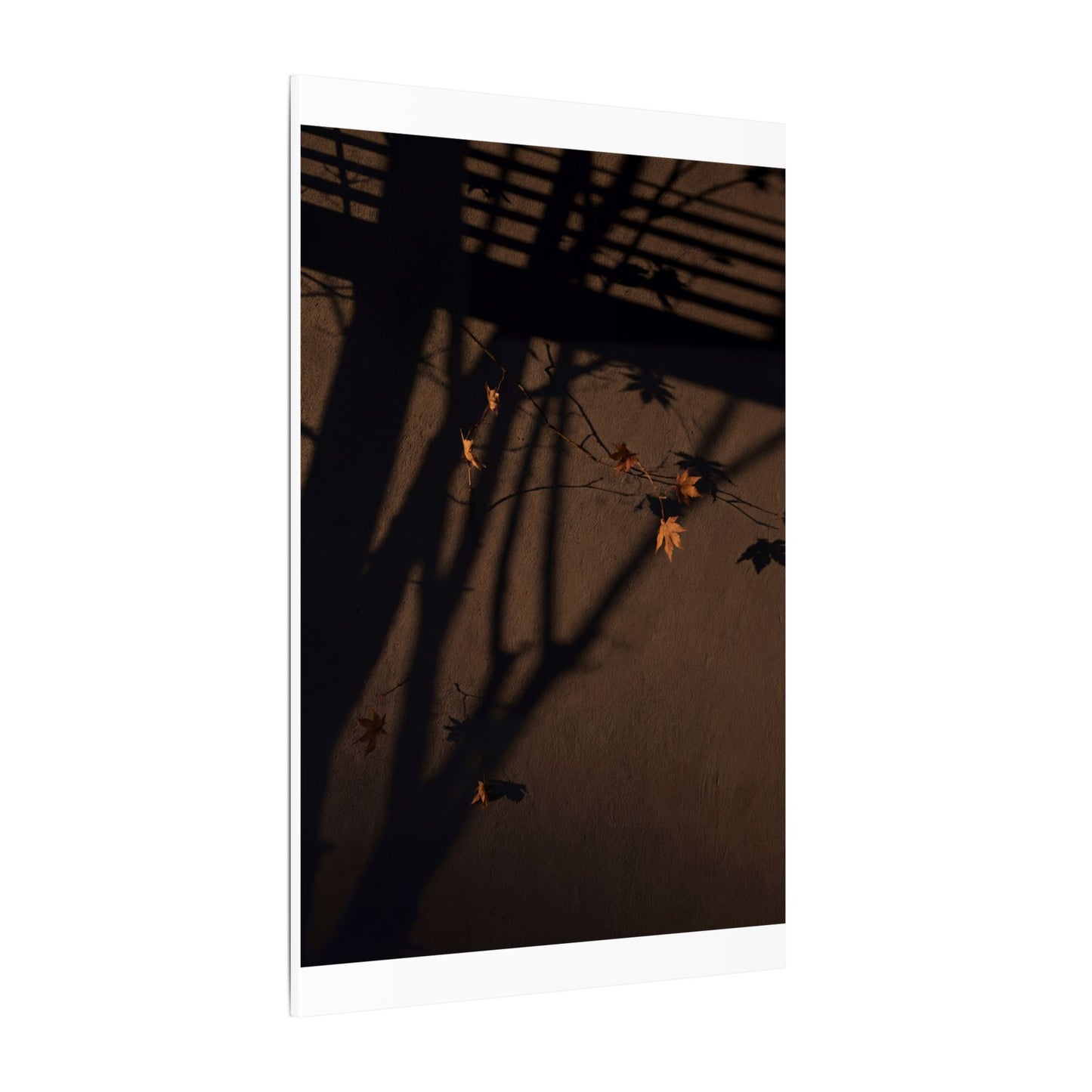 Shadow Play Autumn Canvas Art | Dark Japandi Luxurious Design
