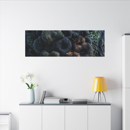 Wild Mushrooms Moody Minimal Canvas Art | Moody Dark Japandi Art