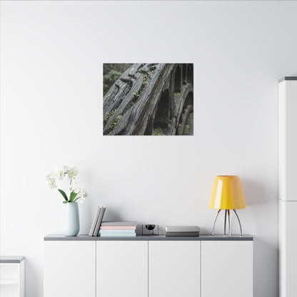 Overcast Wooden Bridge Canvas Art - Japandi Kanso