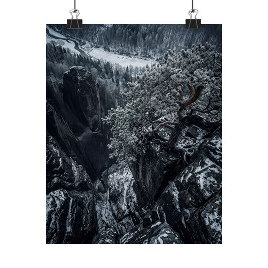 Pine Tree Wall Art Print | Winter Dark Japandi Dark Texture Art Art Print